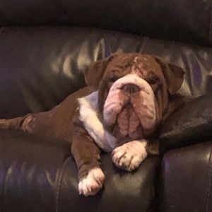 Meet your Posher, April